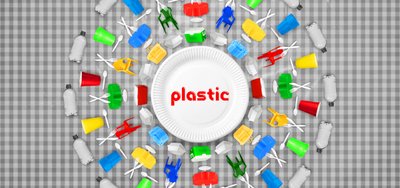 Plasticnic