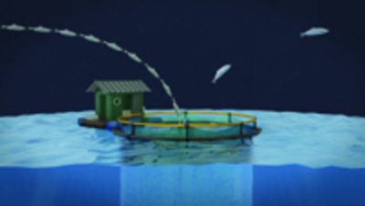 Die Überfischung der Meere