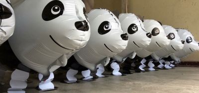 Panda moonwalk or why Meng Meng walks backwards